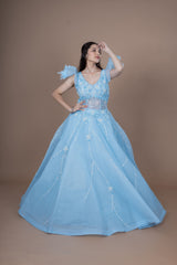 Blue Net Gown With Moti Hand Work