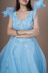 Blue Net Gown With Moti Hand Work