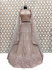 Malibu Peach Jimmi Choo Net embroidery Lehenga