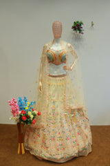 White Net Embroidery Crop-Top With Designer Blouse