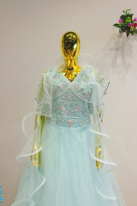 Sky Blue Net Gown With Moti Hand Work