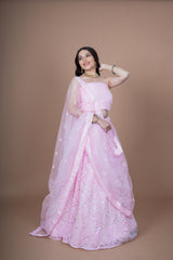 Baby Pink Net Moti Hand Work Lehenga With Duppata