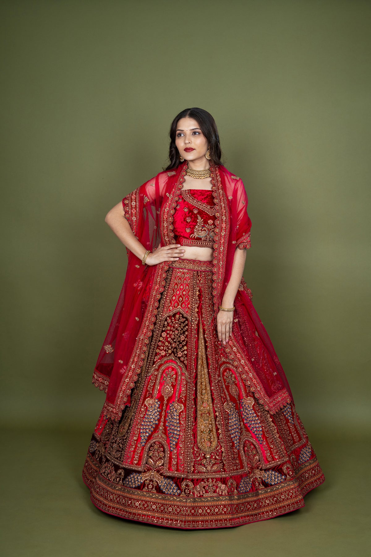 Multi Velvet Embroidery Bridal Lehenga With Figure Work