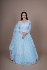 Sky Blue Net Gown With Jaal Work