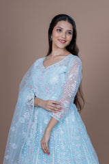 Sky Blue Net Gown With Jaal Work
