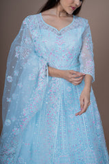 Sky Blue Net Gown With Jaal Work