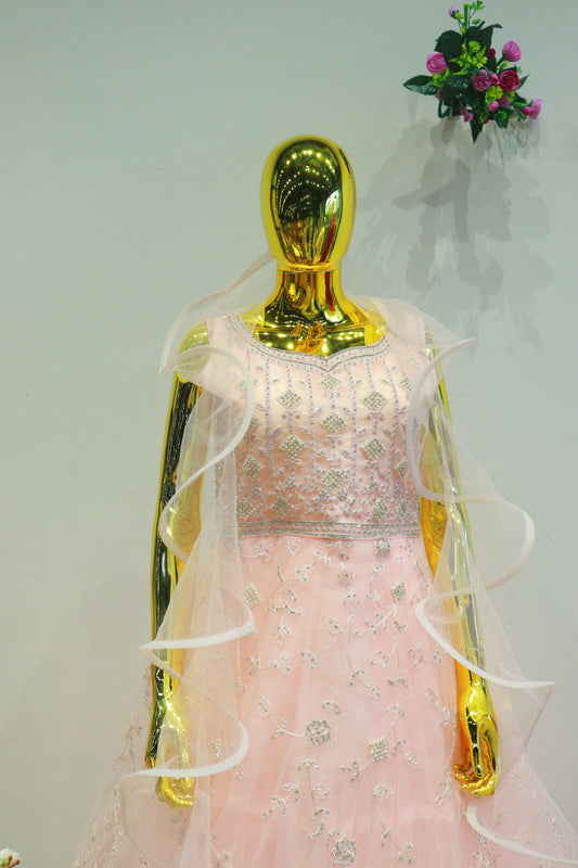 Baby Pink Net Gown With Embroidery Moti Work