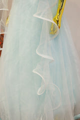 Sky Blue Net Gown With Moti Hand Work