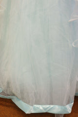 Sky Blue Net Gown With Moti Hand Work